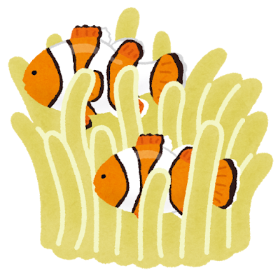 クマノミとイソギンチャクのイラスト